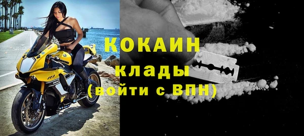 винт Алзамай