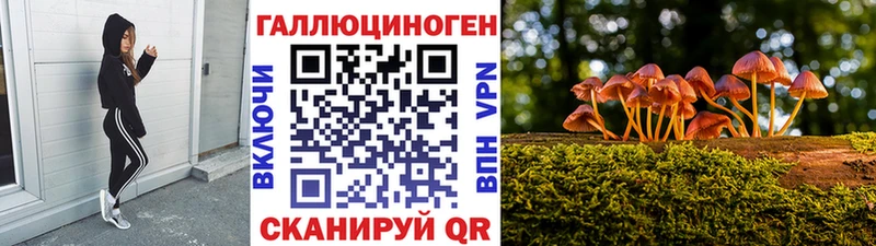 Псилоцибиновые грибы MAGIC MUSHROOMS  Ужур 